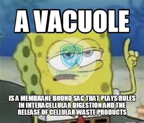 These <b>pick</b> <b>up</b> phrases feature common ground themes such as classes, high <b>school</b> sports, math, tests like physics, SAT scores, and more. . School appropriate vacuole pick up lines